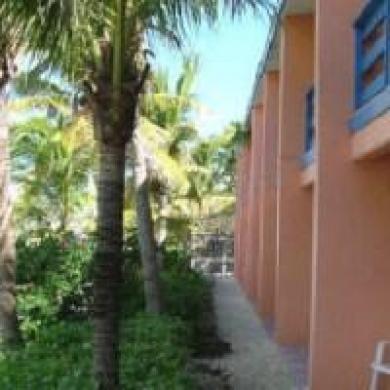 Turtle Cove Inn Ngoại thất bức ảnh