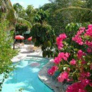 Turtle Cove Inn Ngoại thất bức ảnh