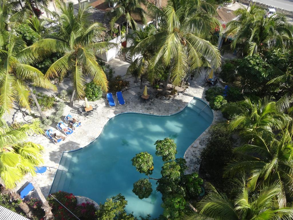 Turtle Cove Inn Phòng bức ảnh
