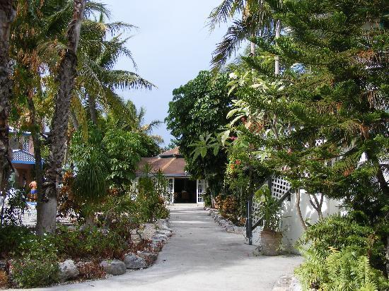 Turtle Cove Inn Ngoại thất bức ảnh